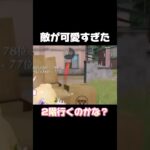 敵が可愛すぎたw #荒野の光 #荒野gogofes #荒野行動 #荒野GOGOFES
