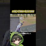ラストは男のSRバッコーンでしょ‼️ #荒野行動 #荒野GOGOFES #あでがえーる