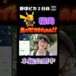 【PayPay野球ピカ】焦げピカきたぁぁぁ!!【ポケモンGO】