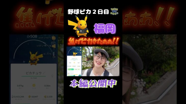 【PayPay野球ピカ】焦げピカきたぁぁぁ!!【ポケモンGO】