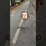 パンモンスター　#アニメ #日常 #ハント #ワッフル #メメントモリ #顔 #デコピン #あるある #パン