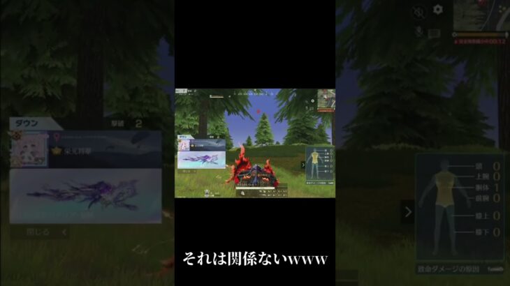 動画にしませんよ #荒野の光 #荒野GOGOFES #荒野行動