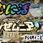 【モンスト】まったり配信～ 昼の活