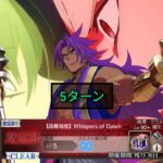 [FGO JP] Fake/Strange Fate Collab Challenge Quest – 5 Turn Clear ft. Bhima (No CE) (Frontline Only)