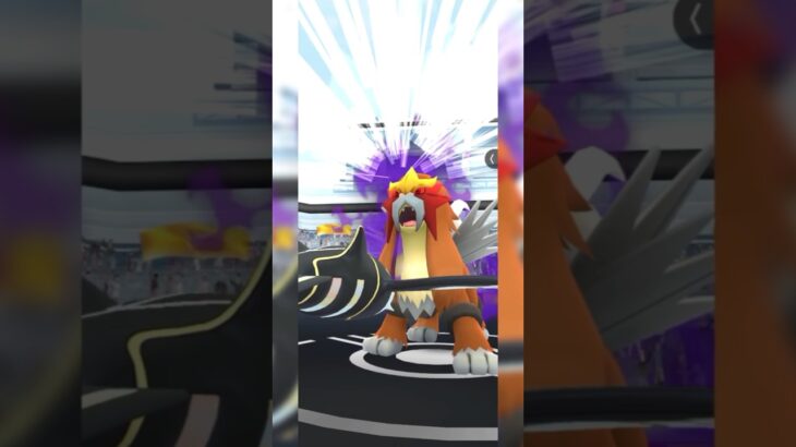 【ポケモンGO】シャドウエンテイ討伐&ゲット‼️