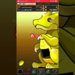パズドラ　がちゃ  #パズドラ