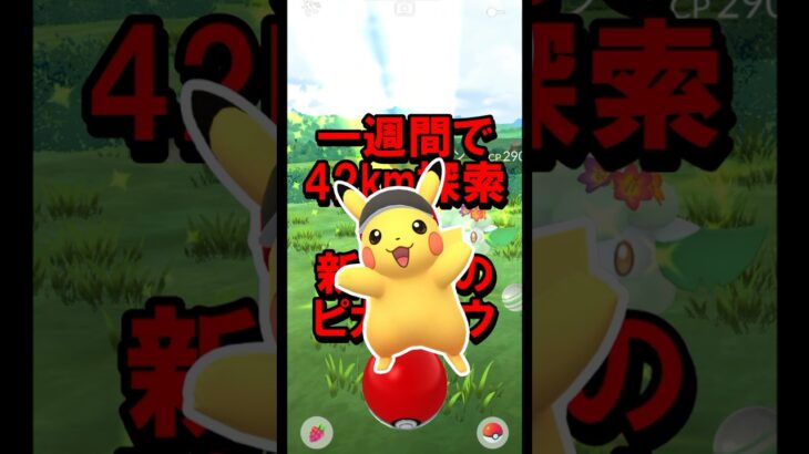 フィールドリサーチ判明 #ポケモンGO #フィールドリサーチ #ピカチュウ #限定