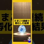 3連続のたまご孵化結果！今回の成果は？#ポケモンgo #たまご孵化 #pokemongo #新道ひかり
