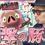 【ポケモンGO】すまんグルトン・・・主役の座が奪われてしまいました。【コミュニティデイ：グルトン】