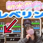 【ドラクエウォーク】新米勇者のレベリング！今の進行状況は？！！