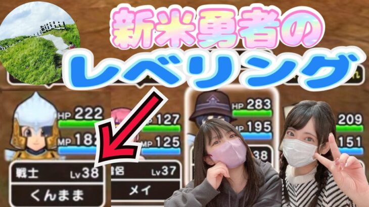 【ドラクエウォーク】新米勇者のレベリング！今の進行状況は？！！