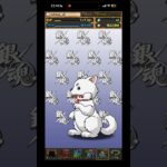 パズドラ 銀魂コラボガチャ引いたら…