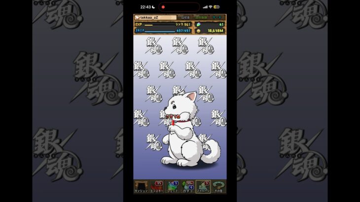 パズドラ 銀魂コラボガチャ引いたら…