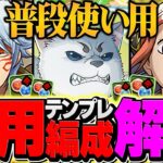 【所持者必見】坂田銀時の汎用テンプレ解説！これ組んどけばとりあえずはOK！銀魂コラボのみ！【パズドラ】