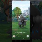 ポケモンGO！ケンタロス色違いキター！！