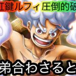 [トレクル]12周年超フェス限虹鍵解放ルフィ海賊祭で圧倒的破壊力！義兄弟がいるとまさに怪物！[OPTC][海賊祭][12周年]