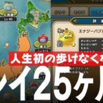 ドラクエウォーク プレイ開始25ヶ月 人生初の歩けなくなった月のプレイ状況 レベル、装備、こころ、ストーリー進行、課金額など DQウォーク