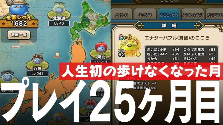 ドラクエウォーク プレイ開始25ヶ月 人生初の歩けなくなった月のプレイ状況 レベル、装備、こころ、ストーリー進行、課金額など DQウォーク