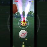 タイレーツ #ポケモンgo