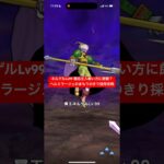 ネルゲルLv99 闘志注入無い方に朗報 ヘルミラージュのまもりのきり採用攻略 【ドラクエウォーク】 魔王の地図