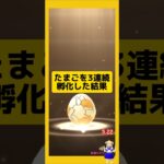 3連続のたまご孵化結果！#ポケモンgo #たまご孵化 #pokemongo #新道ひかり