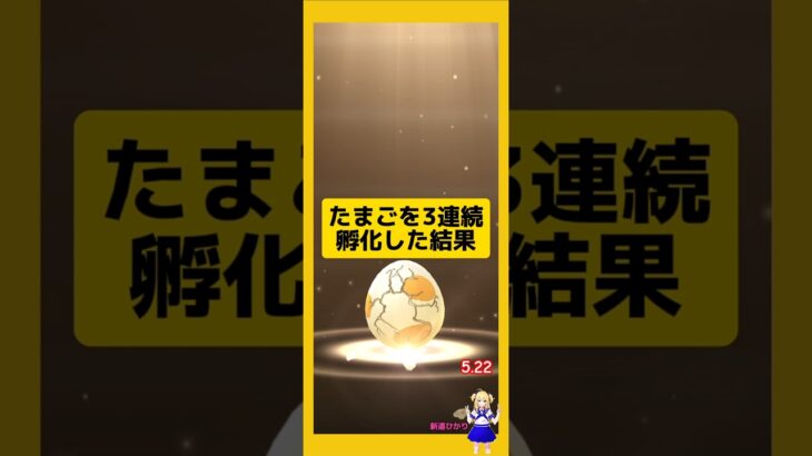 3連続のたまご孵化結果！#ポケモンgo #たまご孵化 #pokemongo #新道ひかり