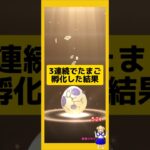 3連続のたまご孵化結果！#ポケモンgo #たまご孵化 #pokemongo #新道ひかり