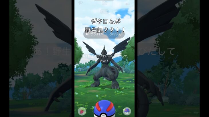 【ポケモンGO】ゼクロムが野生に？？！！！#ポケモンgo #ポケモン #ゼクロム