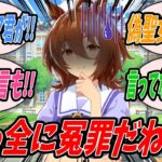 【ウマ娘】ヴィクトワールピサが学園で本物の聖女と呼ばれるのも納得だと言っただけであり別にレッドディザイアを偽聖女だなんて言ってないのにマンハッタンカフェから拳での勝負を申し込まれるアグネスタキオン
