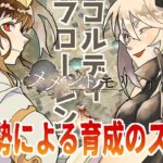 【メメントモリ】コルフロどっちをどう育てるべきか