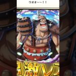ワンピーストレジャークルーズガチャ引いてみた#トレジャークルーズ