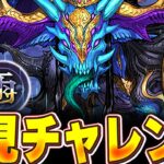 霧雨チャレンジ開催！！初見から勝つまで配信！！【パズドラ配信】＃パズドラ
