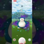 #ポケモンgo #ポケモン #pokemongo #pokemon #xxs #カビゴン #シャドウ #しゃどう #ちっちゃい