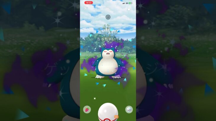 #ポケモンgo #ポケモン #pokemongo #pokemon #xxs #カビゴン #シャドウ #しゃどう #ちっちゃい