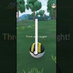 ✨️I Caught THIS Regional SHINY Pokémon In Pokémon Go!✨️ #shorts #shinypokemon #viralshort
