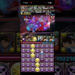 なにこれ【パズドラ】