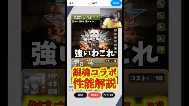 【周回無双】坂田銀時は絶対コロシアムで使いまくります #たかし #パズドラ