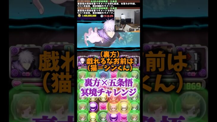 【シン君です】世界一かわいいウチの猫です #たかし #パズドラ