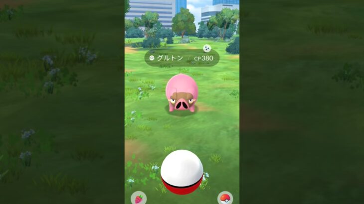 ポケモンGO色違いのグルトンを手に入れた！#ポケモンgo #gaming #pokemon