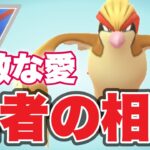 今年の日本チャンピオンの相棒と挑むGBL！【ポケモンGO】【GOバトルリーグ】