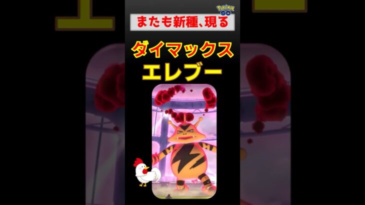 新種登場！【ダイマックス エレブー】 #ポケモンgo #ポケモン #pokemongo #ダイマックス #エレブー #ドリュウズ