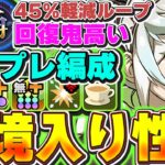 これかなり強い！！執事アルバートとメイドフリッグのテンプレ編成が想像以上に回復力も高くて安定性抜群！！霧雨も安定して攻略できるレベル！！【パズドラ実況】＃パズドラ