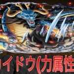 【トレクル】トレクル復帰勢が決戦カイドウの力属性限定ステージに力属性百獣海賊団で挑んでみた‼️【高難易度イベント】
