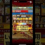 海賊王への軌跡周回用Lv90VS ロード[PKA][OPTC][トレクル]