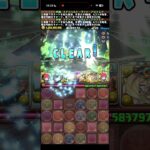 大樹チャレンジ、奇跡の瞬間【パズドラ】