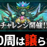 【速報】木ラインハルト爆誕で草！売れ筋ってハッキリ分かんだね【パズドラ】