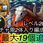 [トレクル]海賊王への軌跡VSロードレベル200対応ガチャ限入り編成紹介！ルフィと合わせてお宝特盛り追加！[OPTC][海賊王への軌跡]