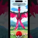 【ポケモンGO】久々にガラルファイヤーと遭遇‼︎ 遂にＧＥＴなるか⁈ おさんぽおこう