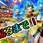 【ドラクエウォーク】相棒カミュ『はてんの月輪』シラフで出るまで挑戦。結果は…！？