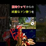 ラスト対面1vs1！綺麗なリーンドン勝つめんる！#荒野行動 #りんぐん作戦本部 #ゲーム #荒野ショート#荒野gogofes